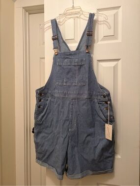 Universal Blue and White Striped Denim Overalls with Copper Hardware